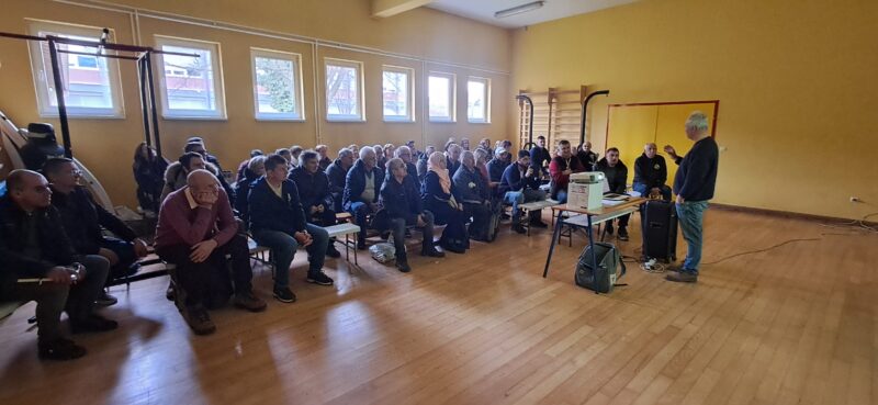 sačuvajmo stare sorte, Cernik