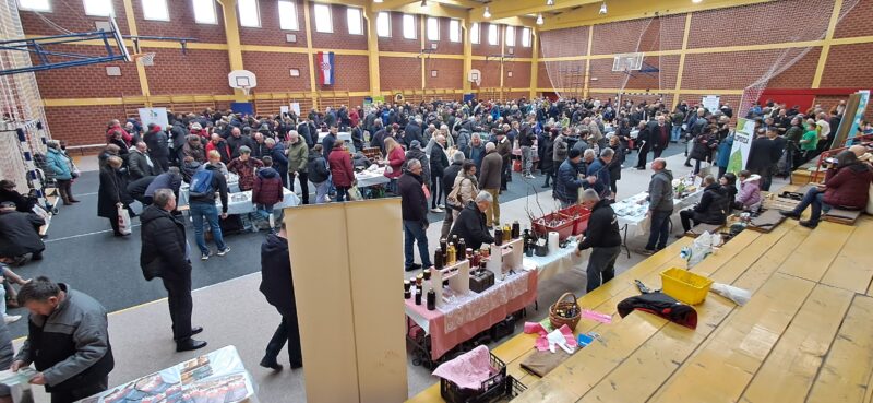 sačuvajmo stare sorte, Cernik