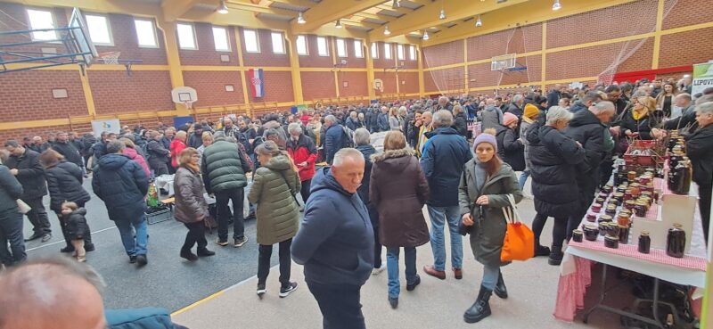 sačuvajmo stare sorte, Cernik