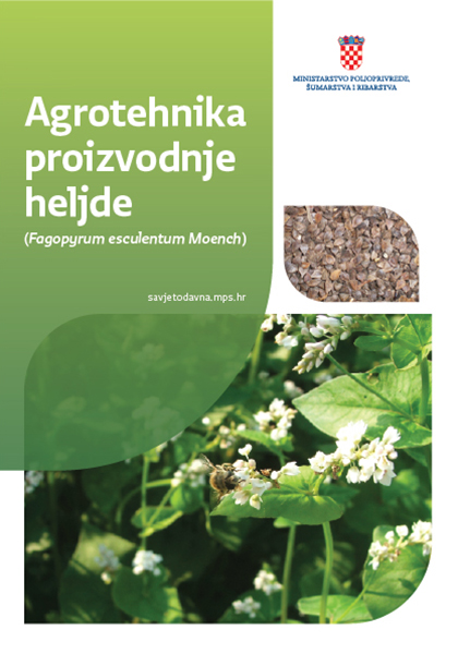 agrotehnika_heljda