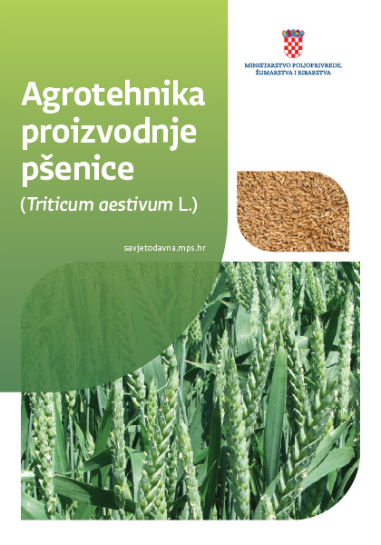agrotehnika_psenice