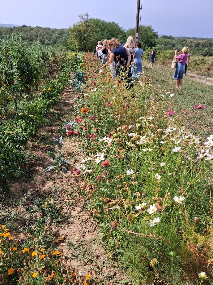 žene u ruralnom prostoru, obilazak imanja