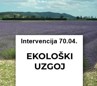 Preuzmite brošuru